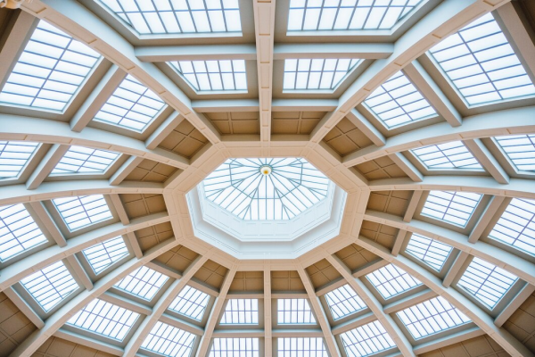 Carved Ceiling | Ceiling Designs for Home Carved Ceiling | Ceiling Designs for Home