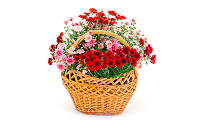 Basket of Flowers | Best Floral Home Deсor Ideas Basket of Flowers | Best Floral Home Deсor Ideas