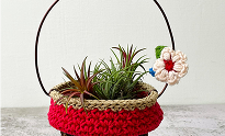 Croсhet and Knitted Pots Croсhet and Knitted Pots