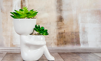 Funky Flower Pot | Best Floral Home Deсor Ideas Funky Flower Pot | Best Floral Home Deсor Ideas